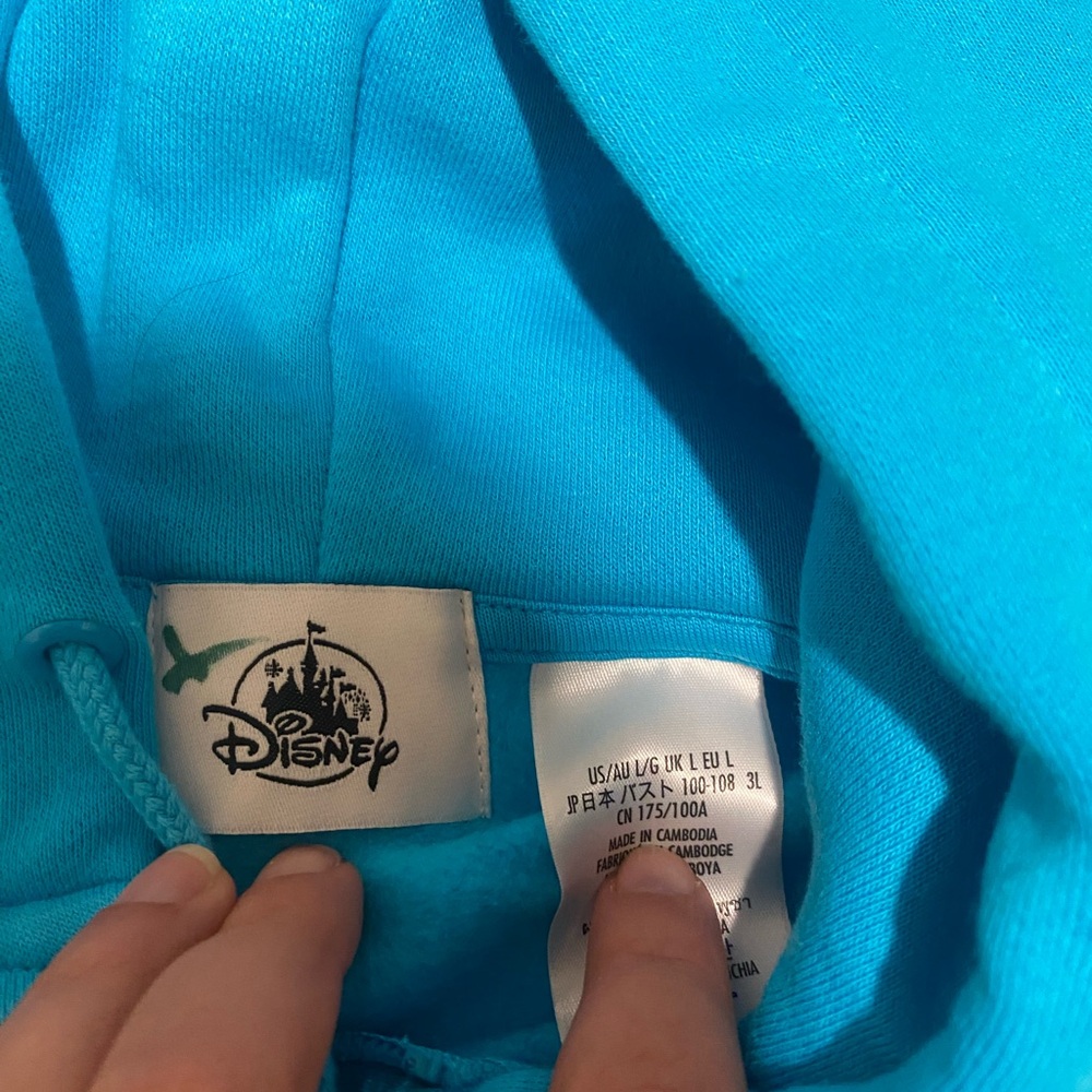 2024 Disneyland zip up hoodie sweater - Picture 4 of 5